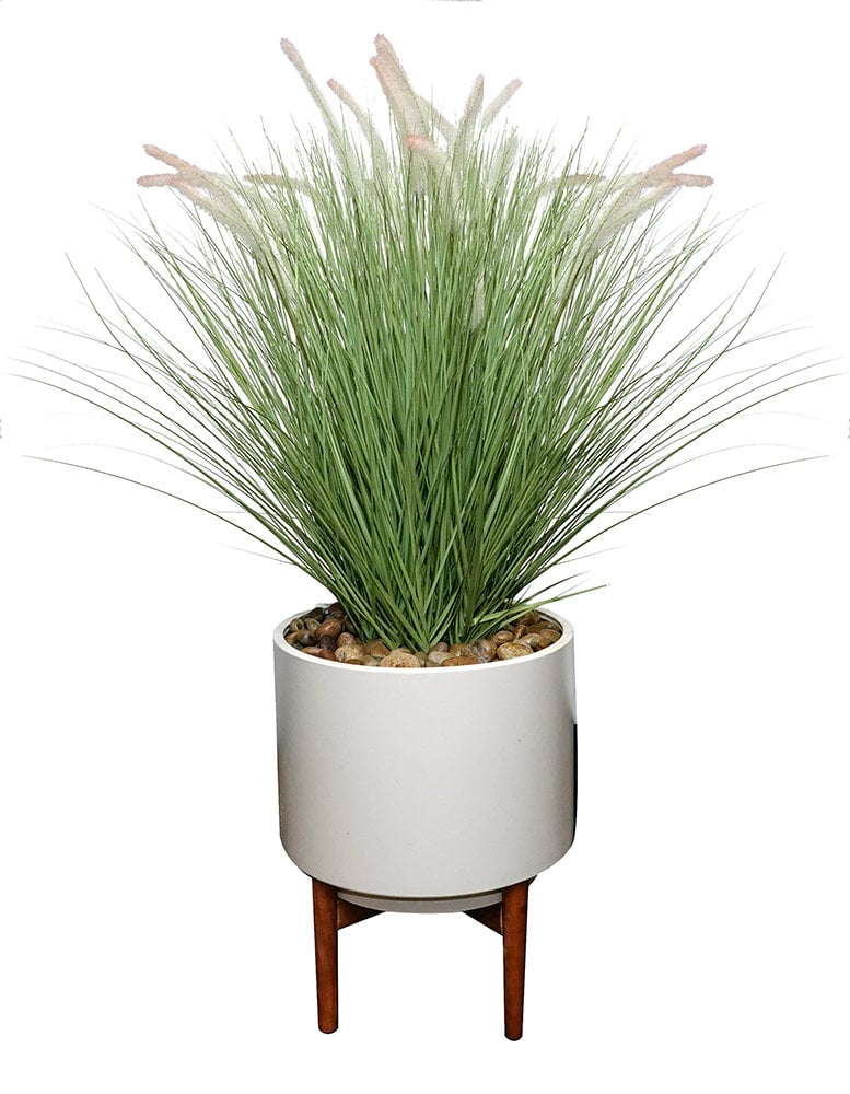 FOUNTAIN GRASS LARGE