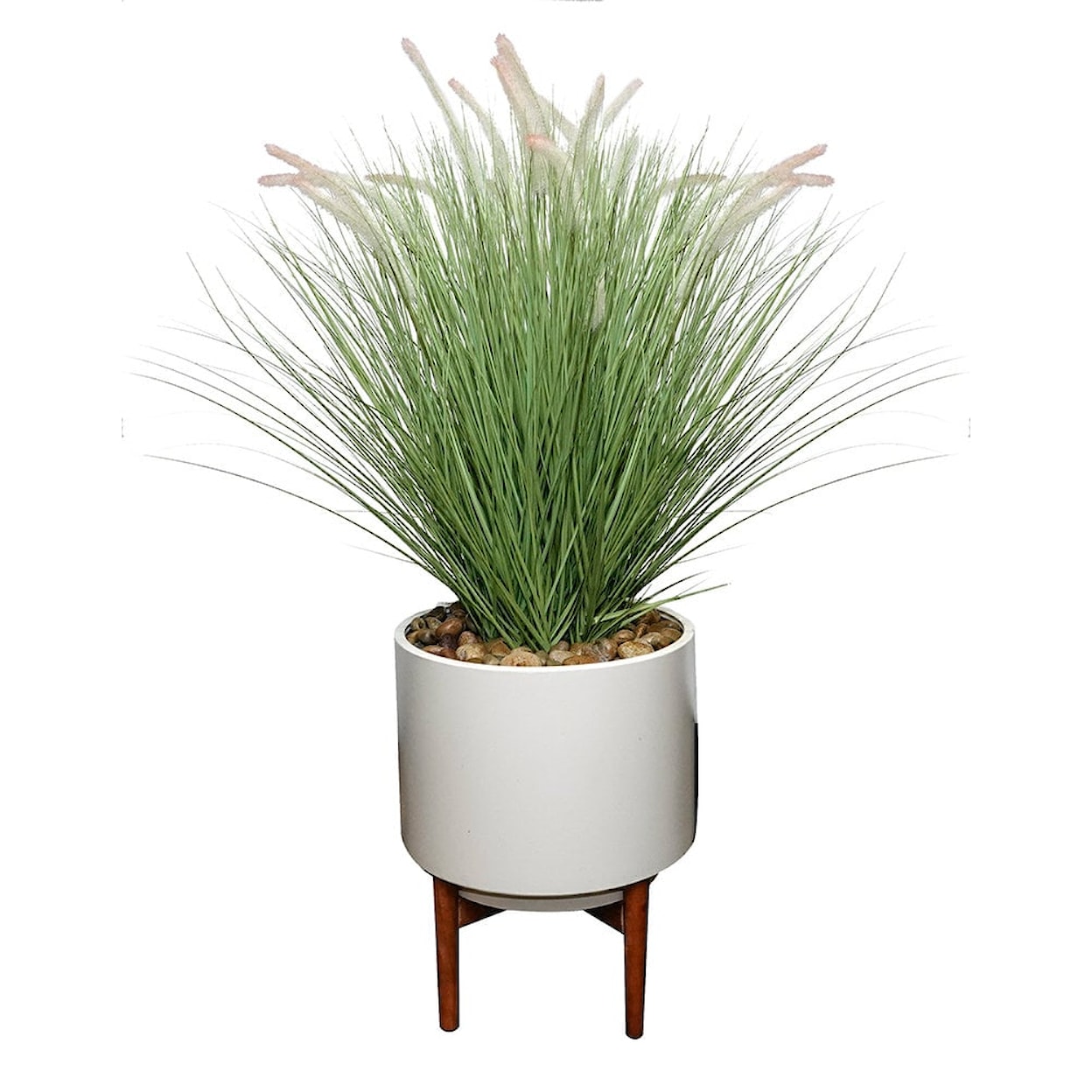 The Ivy Guild Botanicals FOUNTAIN GRASS LARGE