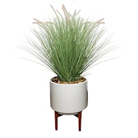 FOUNTAIN GRASS LARGE