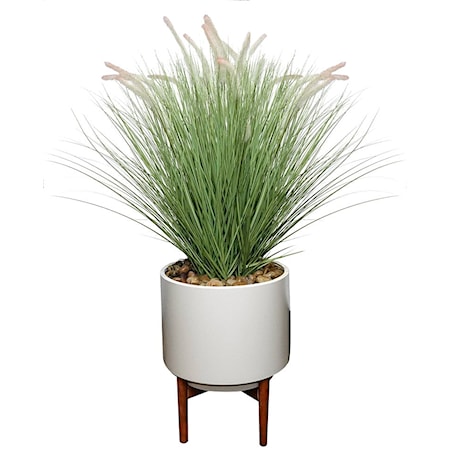 FOUNTAIN GRASS LARGE