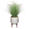The Ivy Guild Botanicals SET OF 2 FOUNTAIN GRASS POTS