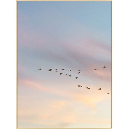 Sunset Flock 1