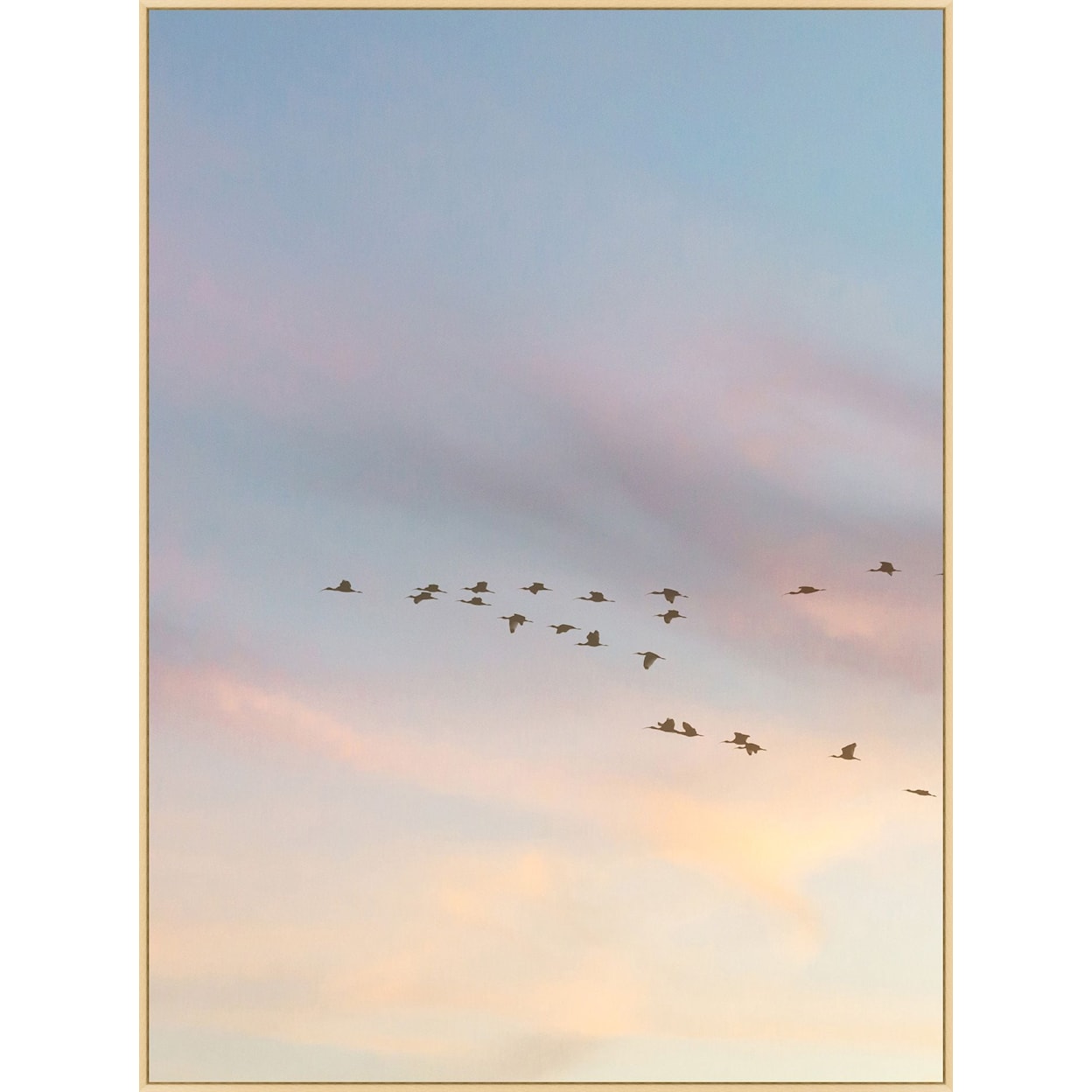 Wendover Art Group Nature Sunset Flock 1