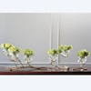 Global Views Vases by Global Views TWIG 2 VASE HOLDER-BRASS