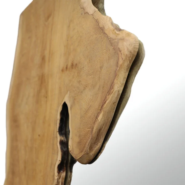 Dovetail Furniture Dovetail Furniture MINA LIVE EDGE MIRROR-NATURAL