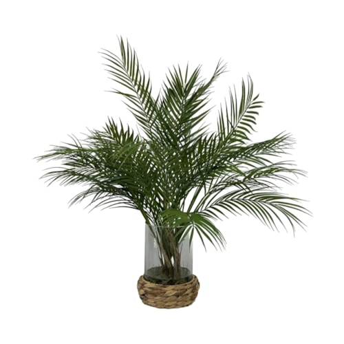 ARECA PALM GLASS/RATTAN