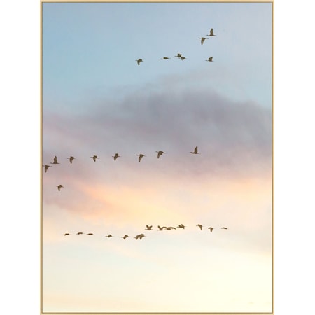 Sunset Flock 2