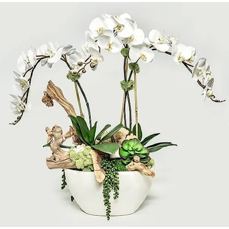 White Oval Pot w/Orchids/Crystals/Grap Ewood