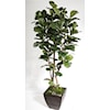 The Ivy Guild Trees & Plants 7' Fiddle Leaf Leaf Tree in Zinc