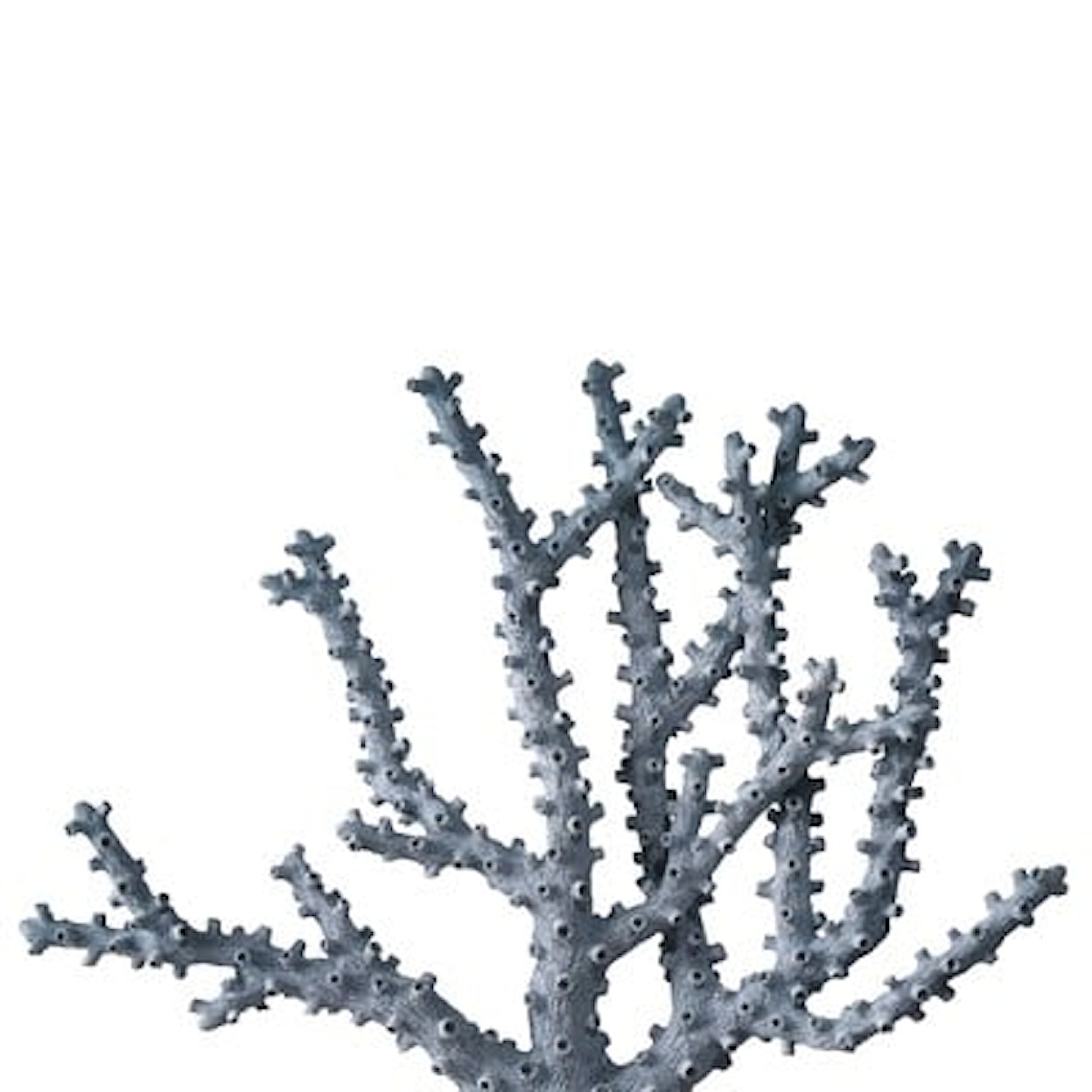 Currey & Co Accessories- Objects & Sculptures Blue Coral Set of 2