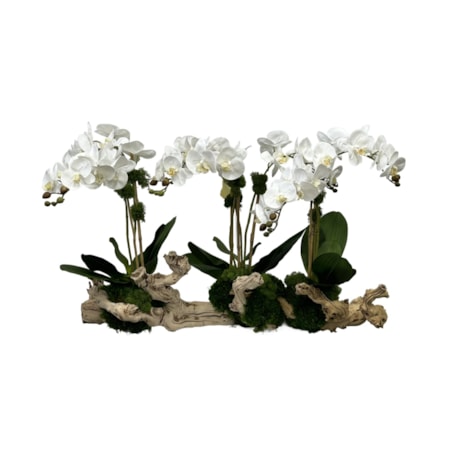 LG. GRAPEWOOD ORCHID BRANCH