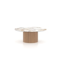 ROUND SHELL TOP ILLUSION COFFEE TABLE