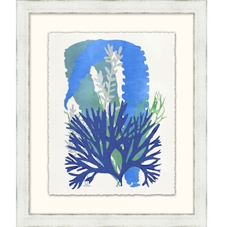 Graphic Sea life Collection 7