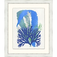 Graphic Sea life Collection 7