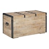 Signature Design by Ashley Dartland Storage Trunk