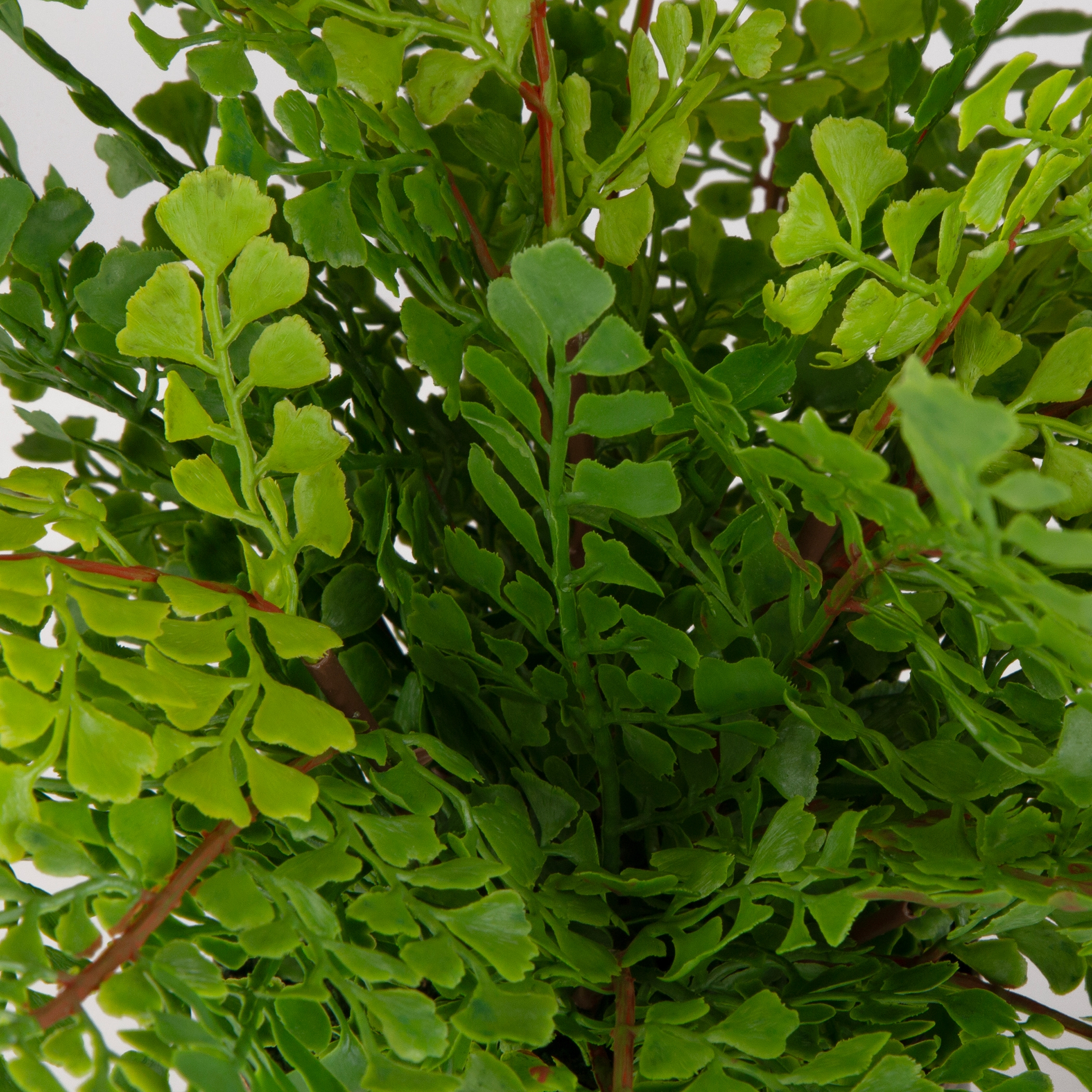 Uttermost Maidenhair Fern Maidenhair Fern In Oxidized Container