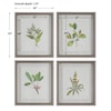 Uttermost Wildflower Study Wildflower Study Framed Prints S/4