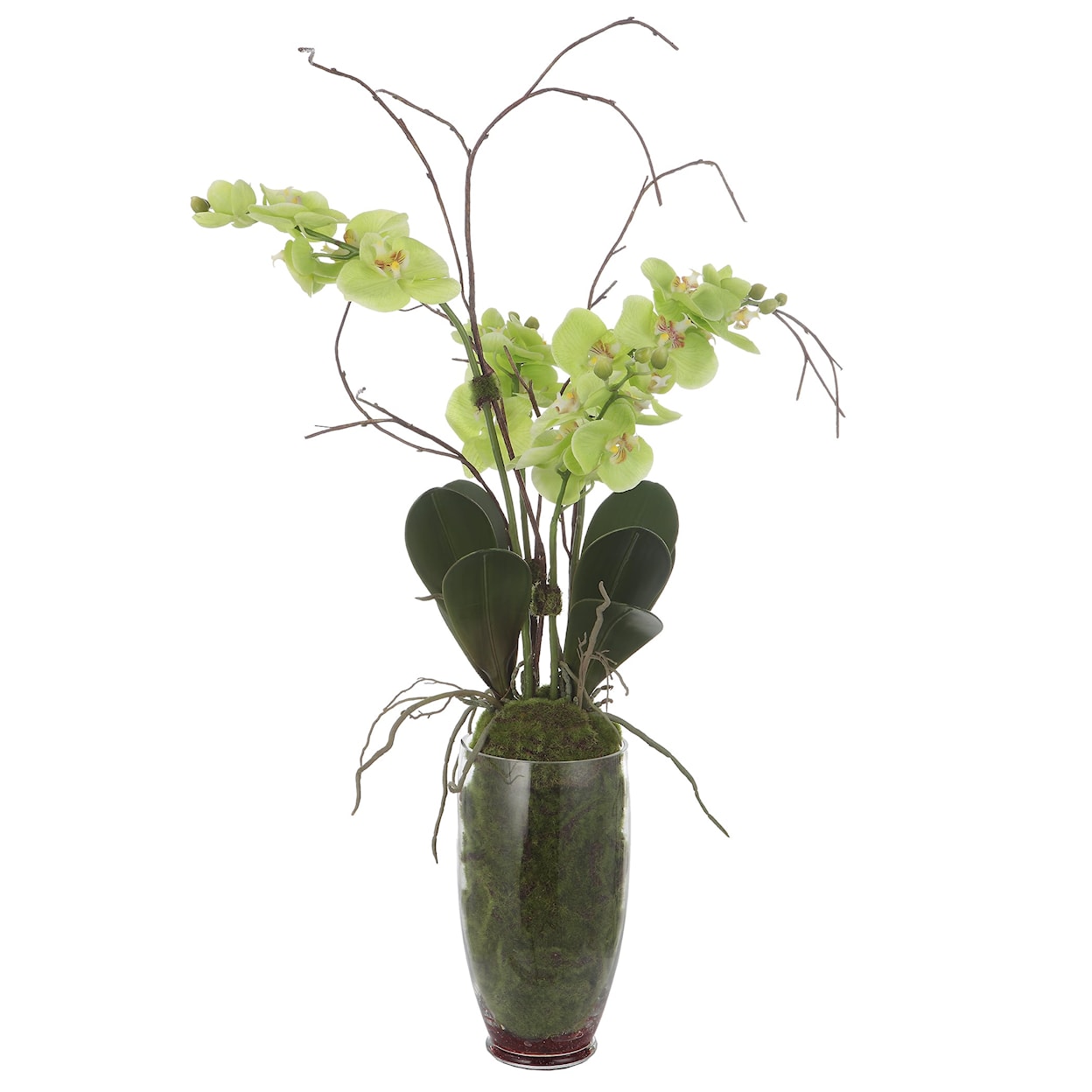 Uttermost Valdive Accent Orchids with Clear Glass Vase