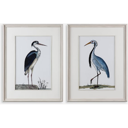 Shore Birds Framed Prints Set of 2