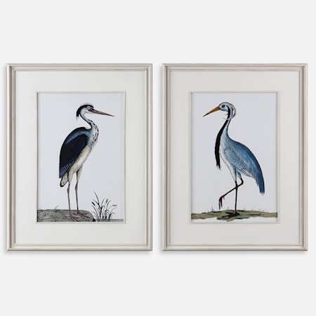 Shore Birds Framed Prints Set of 2