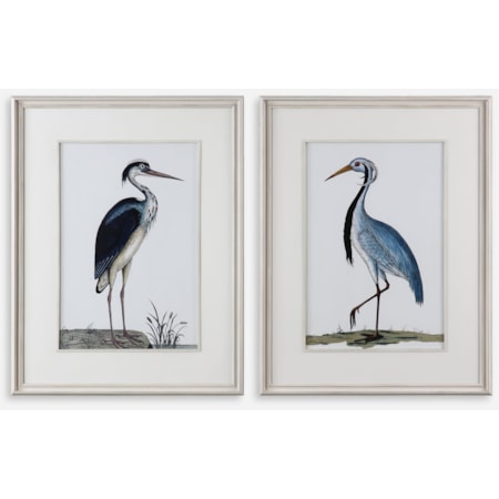 Shore Birds Framed Prints Set of 2