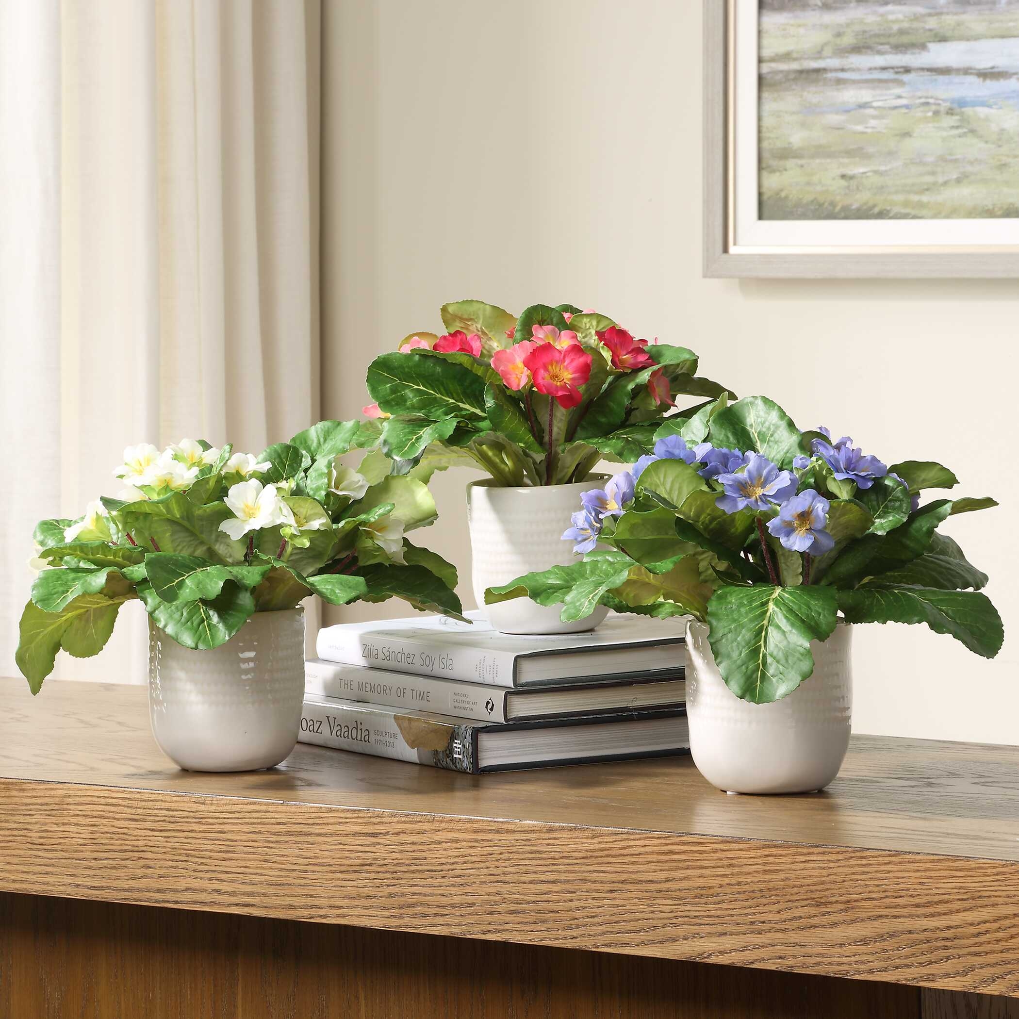 Trilogy Primrose Accents In Vases