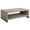 Uttermost Bosk White Washed Coffee Table with Open Shelving