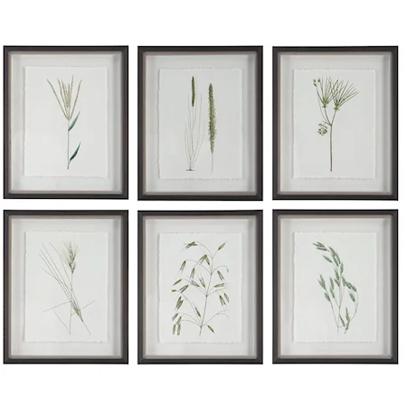 Set of 6 Forest Finds Framed Prints with Shadowbox Framing