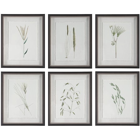 Forest Finds Framed Prints