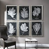 Uttermost Framed Prints Foliage Framed Prints, Set of 6