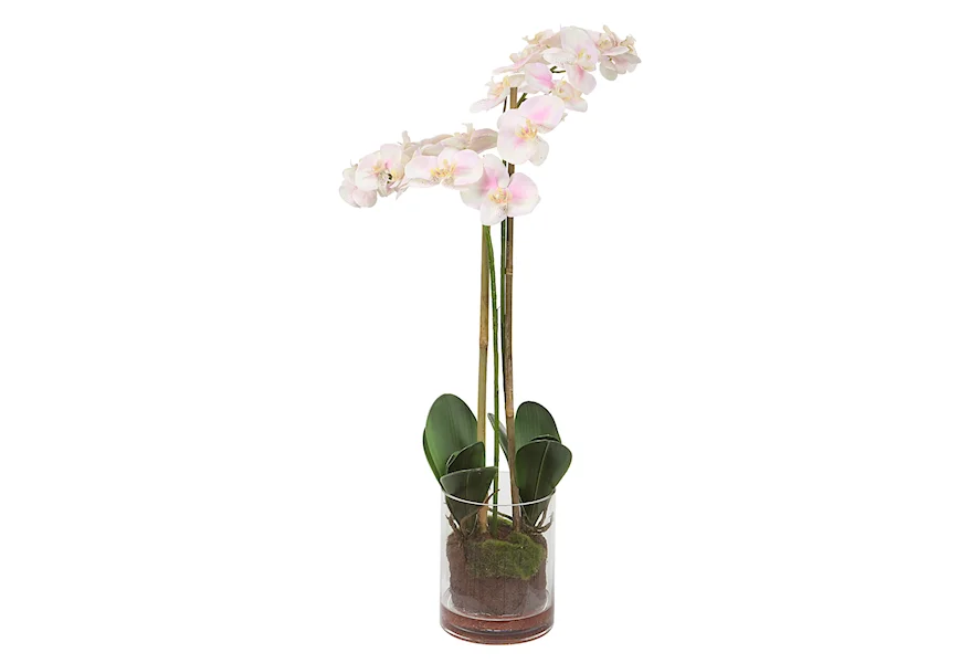 Blush Orchid Blush Pink And White Orchid by Uttermost at Esprit Decor Home Furnishings
