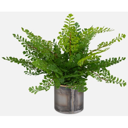 Maidenhair Fern In Oxidized Container