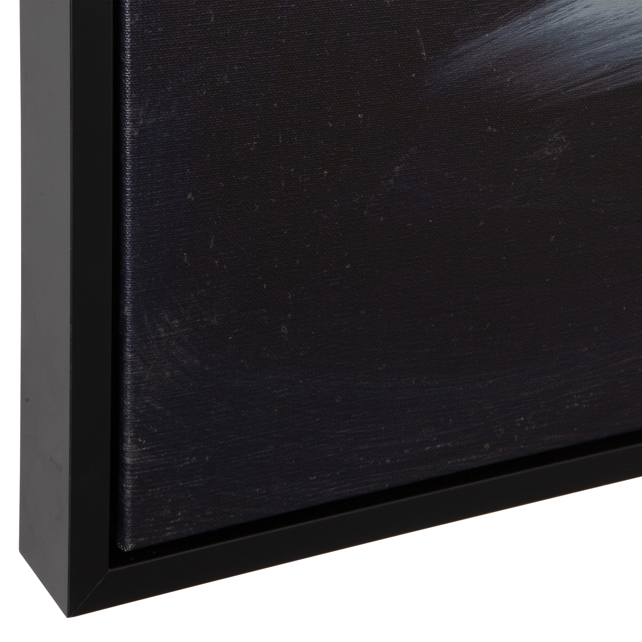 Uttermost Peony Peony Framed Floral Art