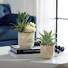 Uttermost Seaside Succulents Seaside Succulents Set/2