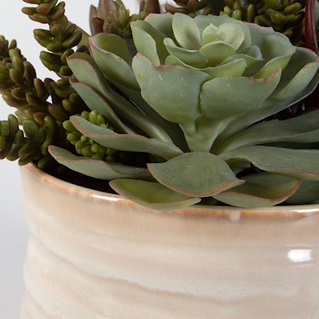 Mesa Succulent Accent