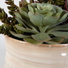 Uttermost Mesa Succulent Mesa Succulent Accent