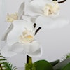 Uttermost Transcend Transcend Orchid Centerpiece