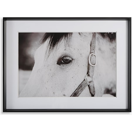 Eye Of The Beholder Framed Print