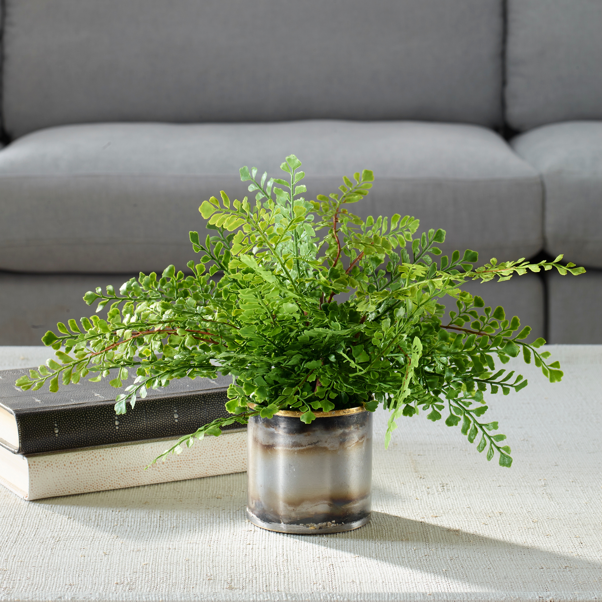 Uttermost Maidenhair Fern Maidenhair Fern In Oxidized Container