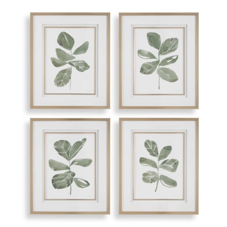 Fiddle Head Leaf Botanical Prints Set/4