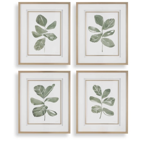 Fiddle Head Leaf Botanical Prints Set/4