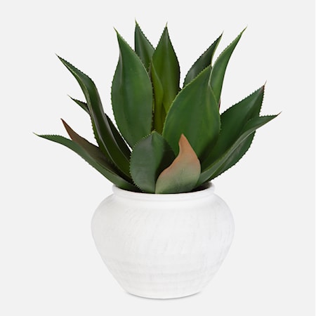 Tierra Agave Centerpiece With Vase