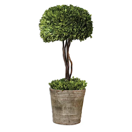 Preserved Boxwood Tree Topiary