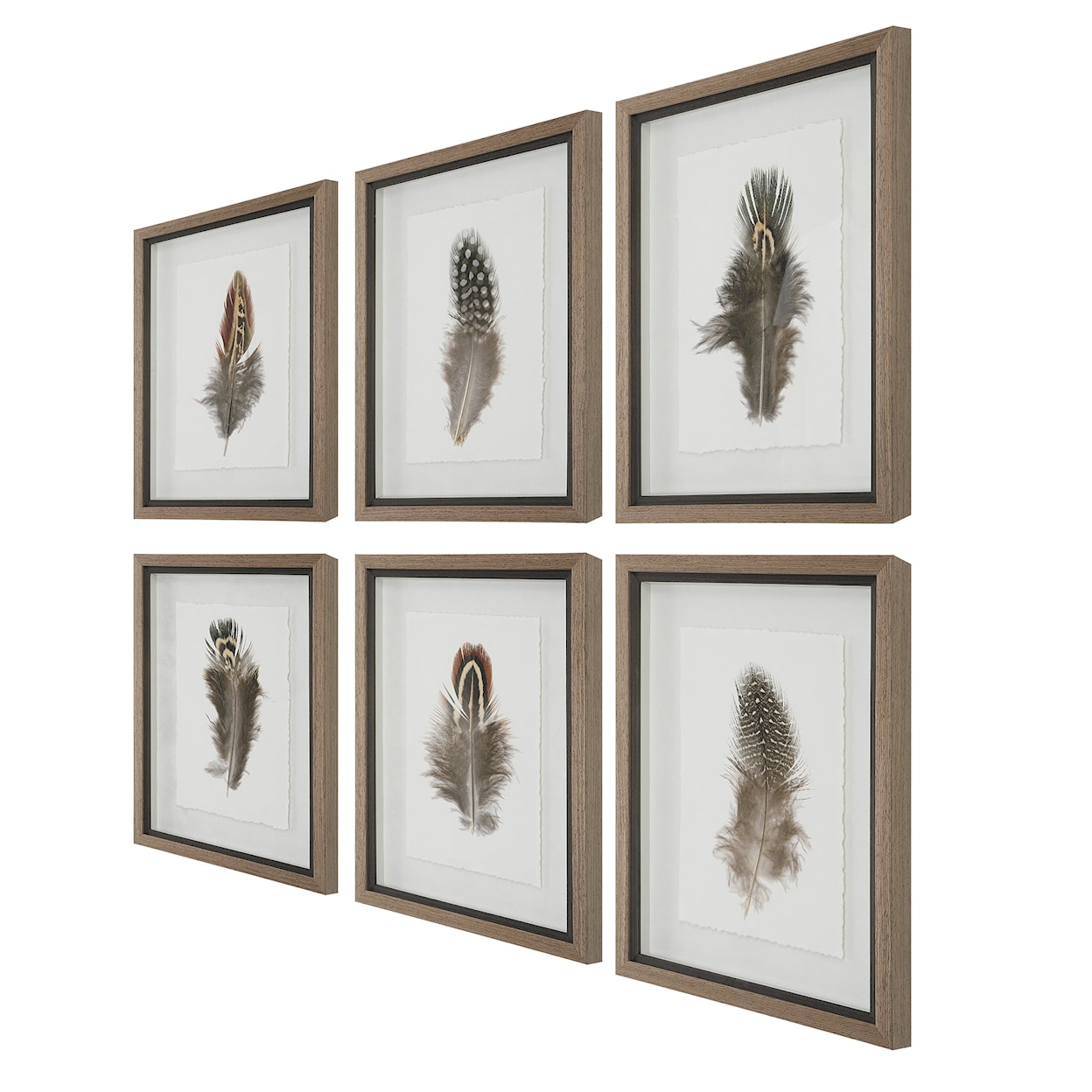 Uttermost Birds Of A Feather Birds Of A Feather Framed Prints S/6