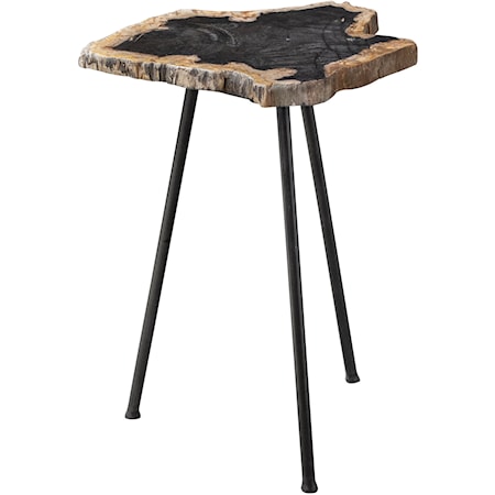 Mircea Petrified Wood Accent Table