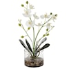 Uttermost Glory Glory Orchid