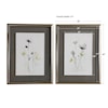 Uttermost Framed Prints Stem Illusion Framed Prints, S/2