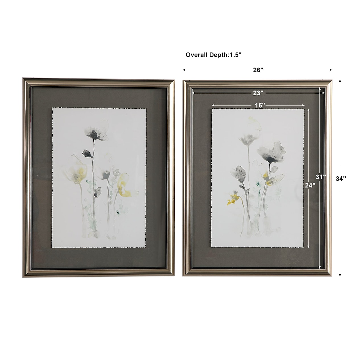 Uttermost Framed Prints Stem Illusion Framed Prints, S/2