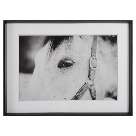 Eye Of The Beholder Framed Print