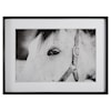 Uttermost Eye Of The Beholder Eye Of The Beholder Framed Print